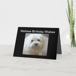 Carte Birthday Wishes Greeting Card on Black