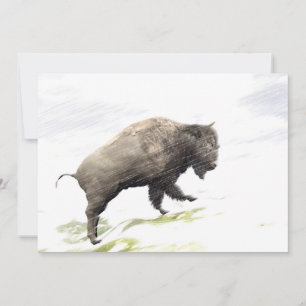 Carte Bison dans la tempête hivernale