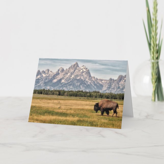 Carte Bison dans le Tetons (Devant)