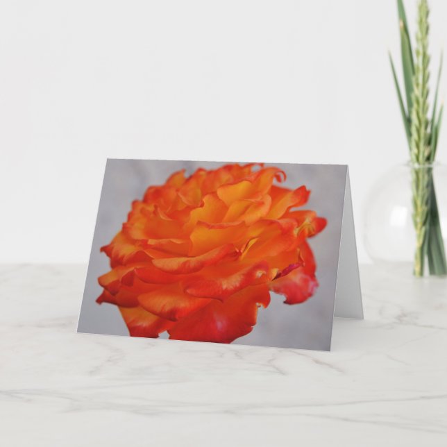 Carte Bit Art Rose Orange Lumineux (Devant)