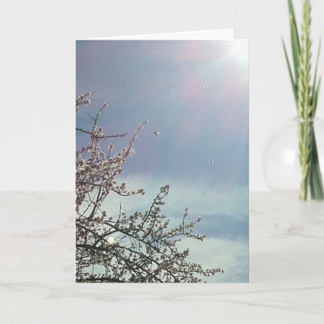 Carte Bizzy Beezzz (Devant)