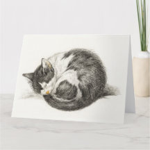 Black and white pencil drawing of a sleepcat