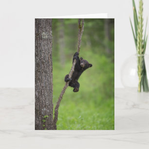 Carte Black Bear Cub jouant sur le membre de l'arbre