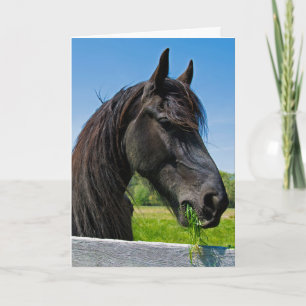 Carte black Friesian horse birthday