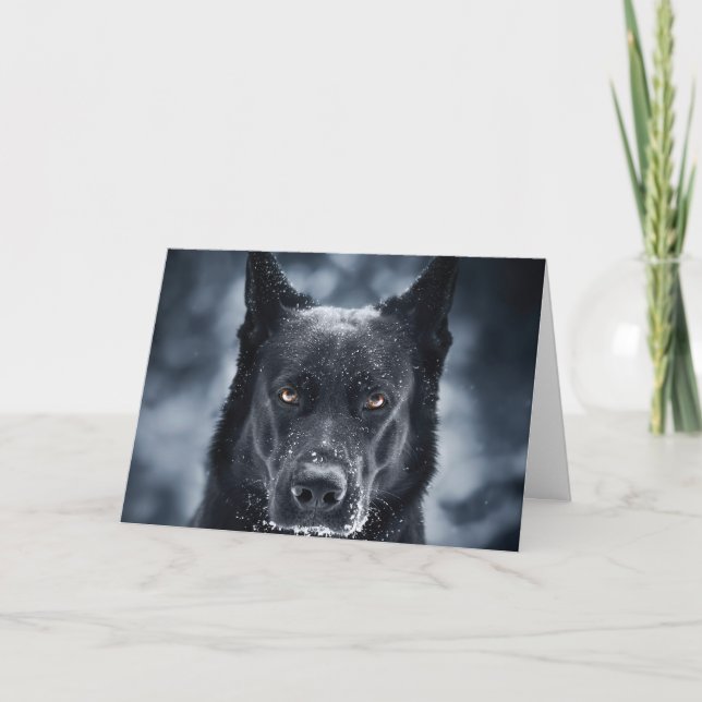 Carte Black German Shepherd (Devant)