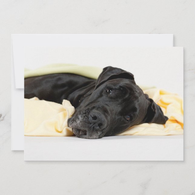 Carte Black Great Dane - Deutsche Dogge schwarz (Devant)