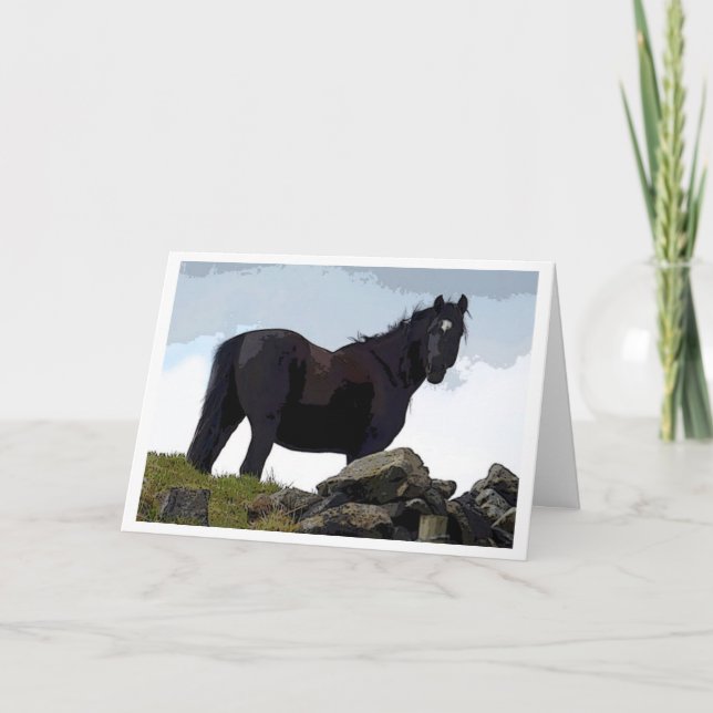 Carte Black horse card (Devant)