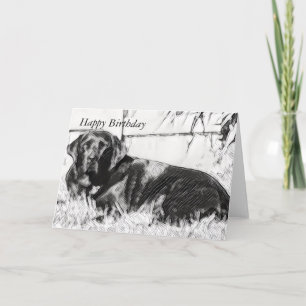 Carte Black Lab assis au soleil Anniversaire