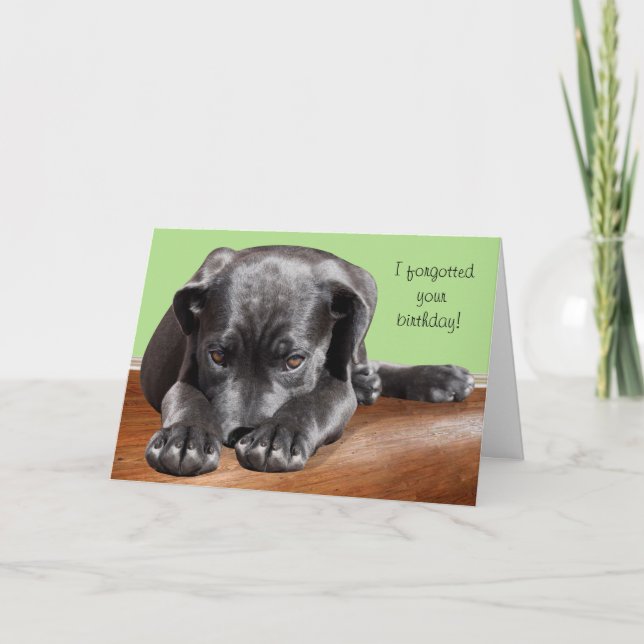 Carte Black Lab Belge Anniversaire (Devant)