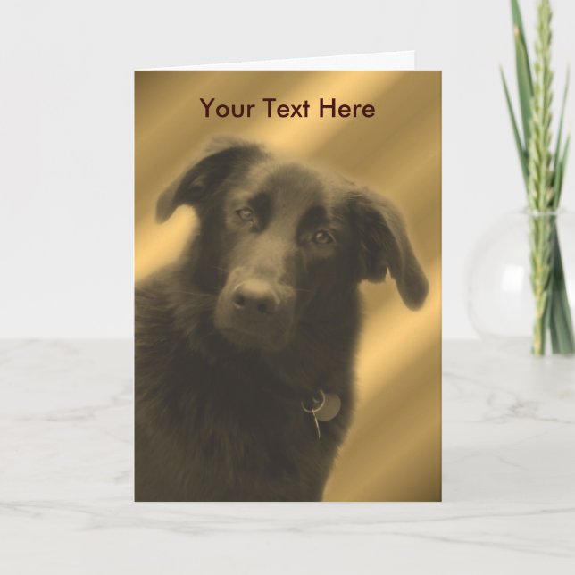 Carte Black Lab Mix Cute Dog (Devant)