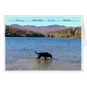 Carte Black Lab Sympathy - Sympathy chien - Perte 