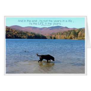 Carte Black Lab Sympathy - Sympathy chien - Perte 