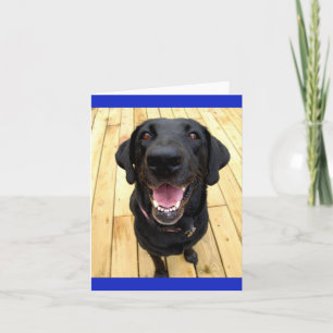 Carte Black Labrador Retriever Chien Chien Chien Blanc C