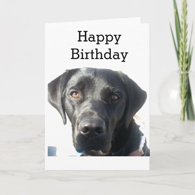 Carte Black Labrador Retriever Joyeux anniversaire (Devant)