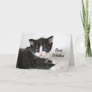 Carte Black White Kitten Félicitations Mariage