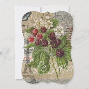 Carte Blackberries Floral Garden Flower Papillon Art