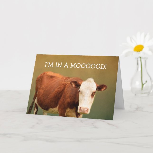 Carte Blague de vache Joyeux anniversaire (Petite plante)
