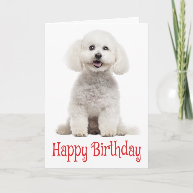 Carte Blanc Bichon Frise Chien Chien Chien Chien Rouge J (Devant)