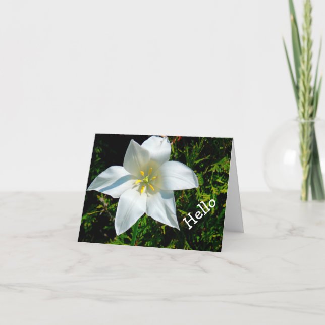 CARTE BLANC CLAIR, FLEURS EN FORME D'ÉTOILE / HELLO/PHOT (Devant)