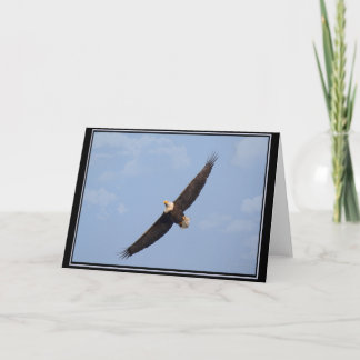 Carte BLANC de l'aigle chauve