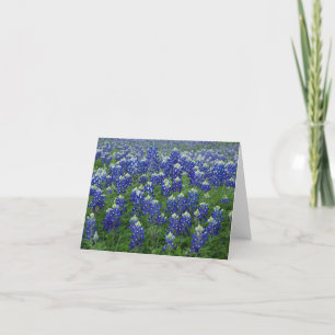 Carte Blanc de photo de Bluebonnets de Texas