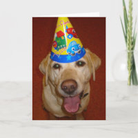 Blanc de Prima- de joyeux anniversaire à