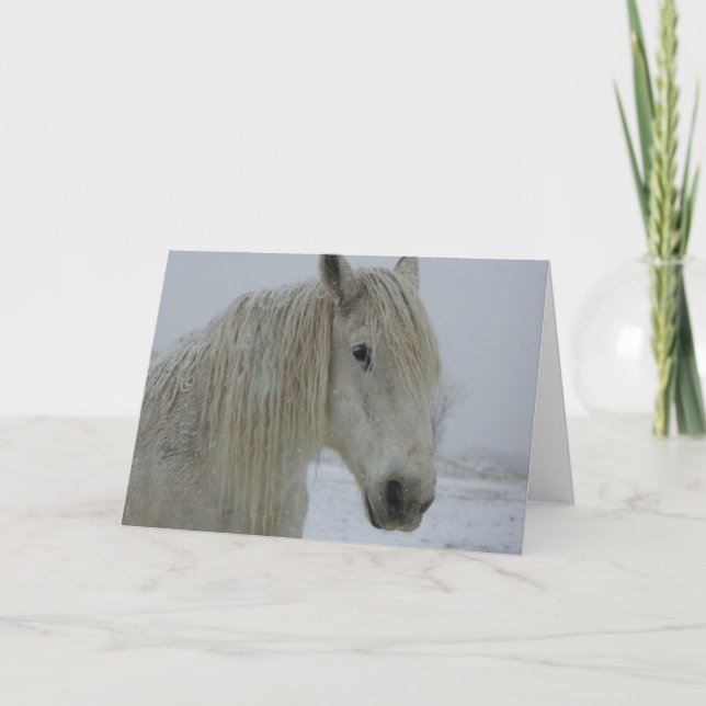 Carte Blanc d'hiver (Devant)