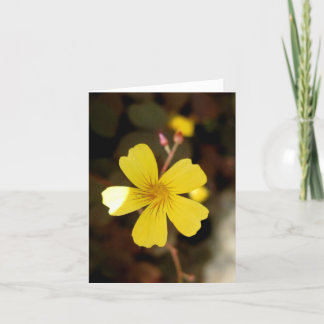 Carte Blanc_Minuscule jaune