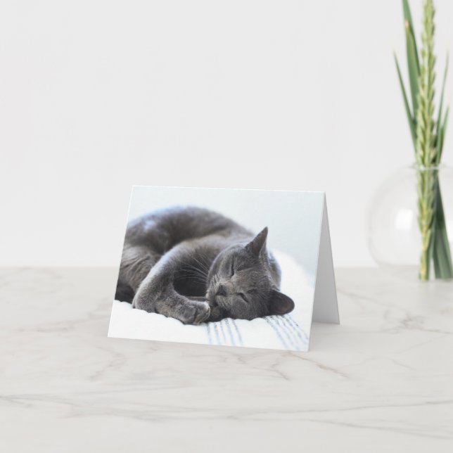 Carte blanche chat gris mignonne (Devant)
