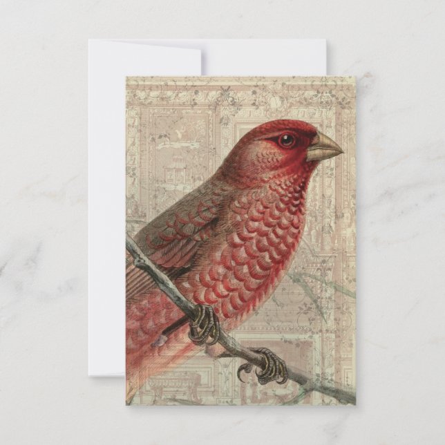 Carte blanche Collage d'oiseaux vintage (Devant)