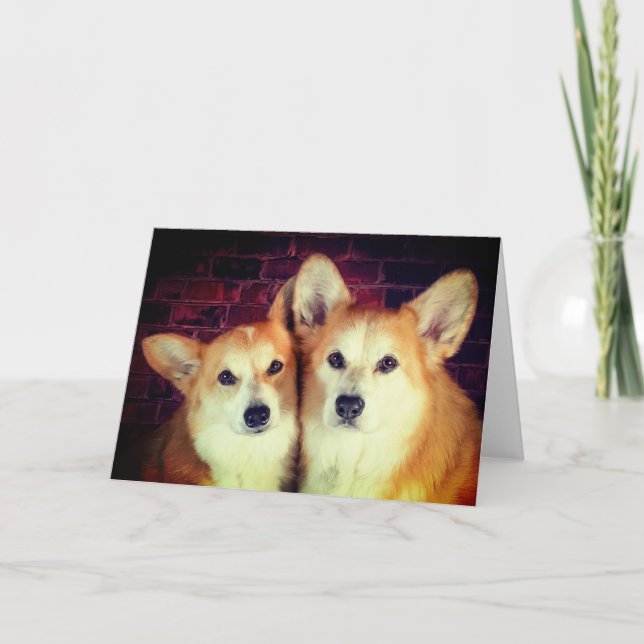 Carte blanche Corgi (Devant)