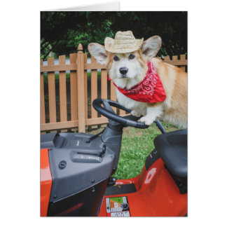 Carte blanche de l'agriculteur Corgi