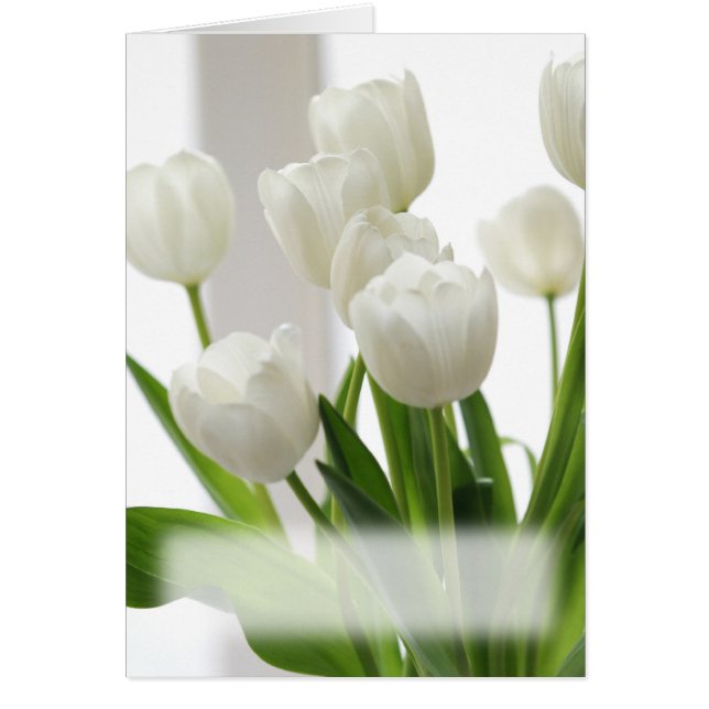 Carte blanche de tulipes (Devant)