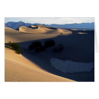 Carte blanche Death Valley Morning Dunes