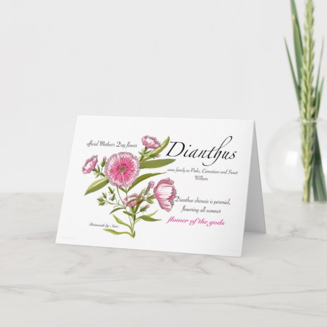 Carte blanche Dianthus (Devant)
