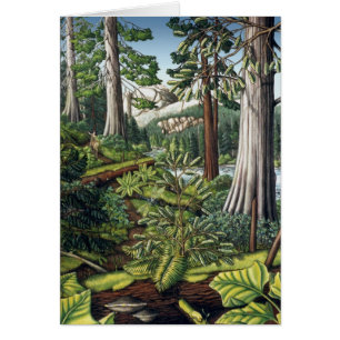 Carte blanche d'impression d'art paysager - Cartes