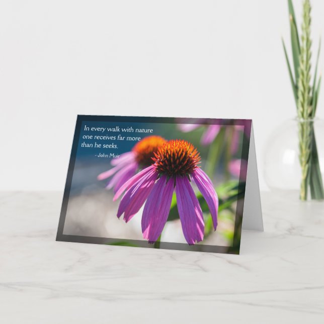 Carte blanche du devis de la nature Echinacea (Devant)
