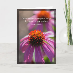 Carte blanche du devis de la nature Echinacea