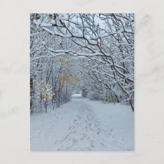 Carte blanche du parc des neiges Winter Wonderland