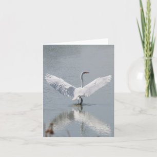 Carte blanche, Egret