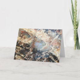 Carte blanche en bois pétrifié