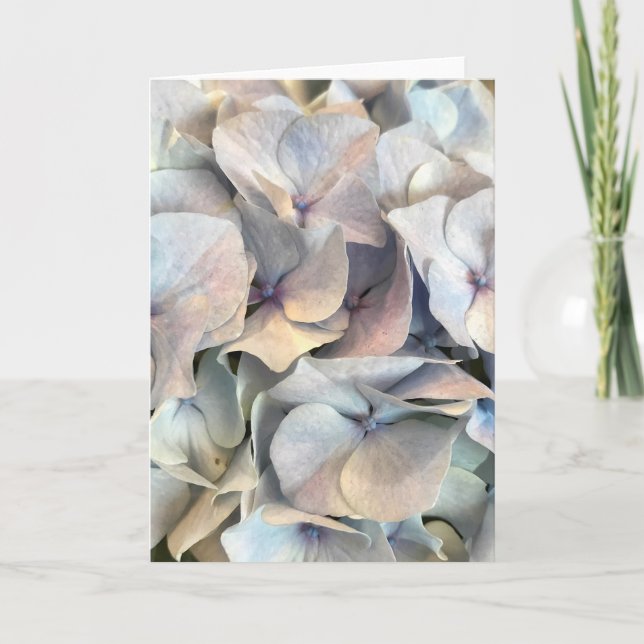 Carte blanche Expressions douces (Devant)