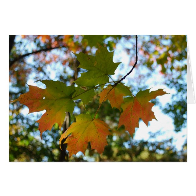 Carte blanche Feuille d'érable (Devant horizontal)