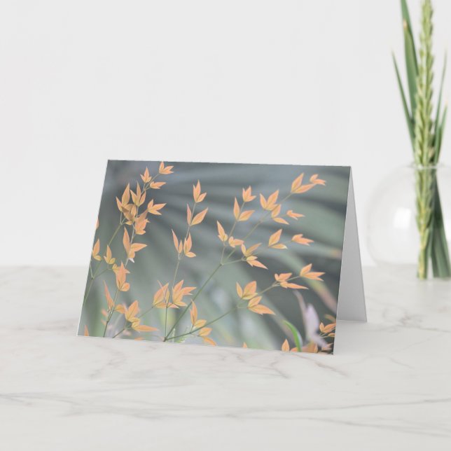 carte blanche feuille gracieuse (Devant)