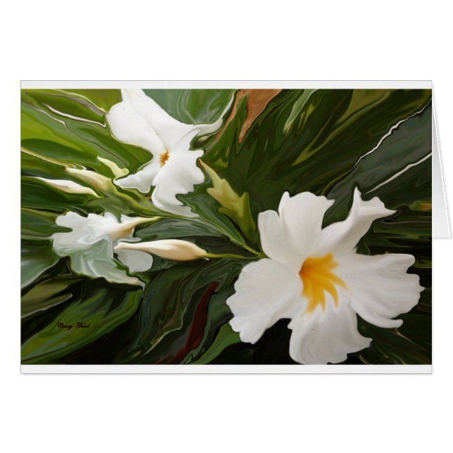 CARTE BLANCHE JASMINE (Devant horizontal)