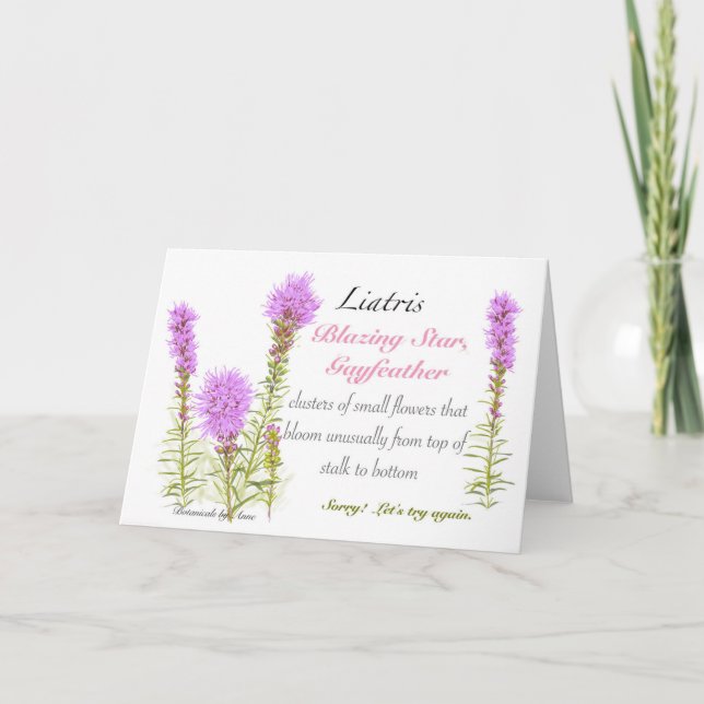 Carte blanche Liatris (Devant)