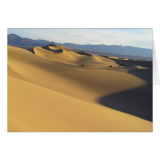 Carte blanche Meilleur de Death Valley