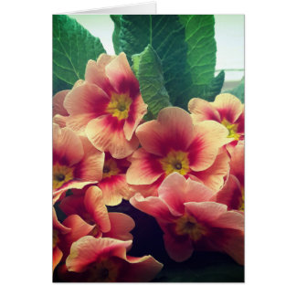 Carte blanche orange à fleurs