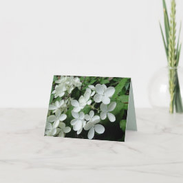 Carte blanche Pee Gee Hydrangea Flowers Blank Note