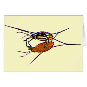 Carte blanche pour l'aquarelle